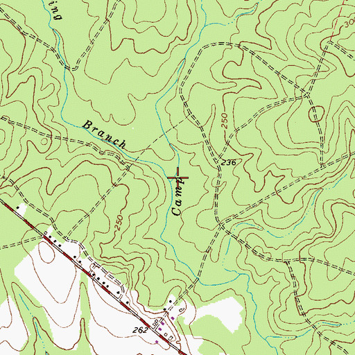 Topographic Map of Spring Branch, GA
