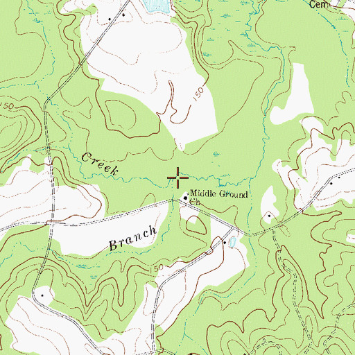 Topographic Map of Spring Branch, GA