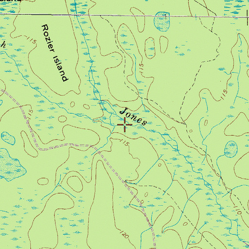 Topographic Map of Spring Branch, GA