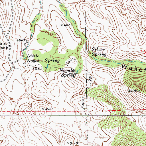 Topographic Map of Nogales Spring, AZ