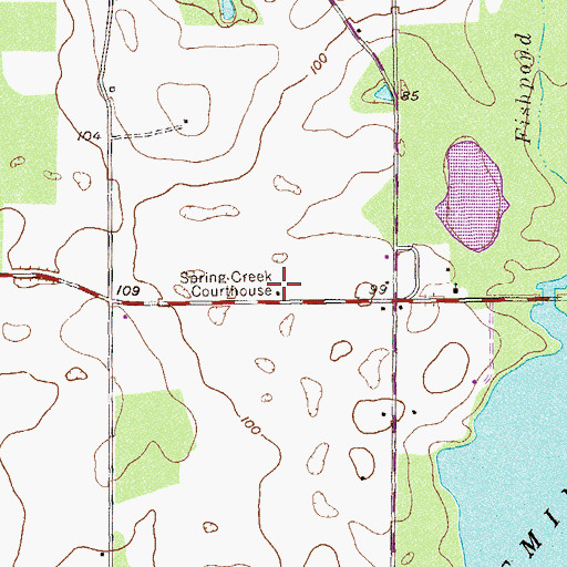 Topographic Map of Spring Creek Courthouse, GA