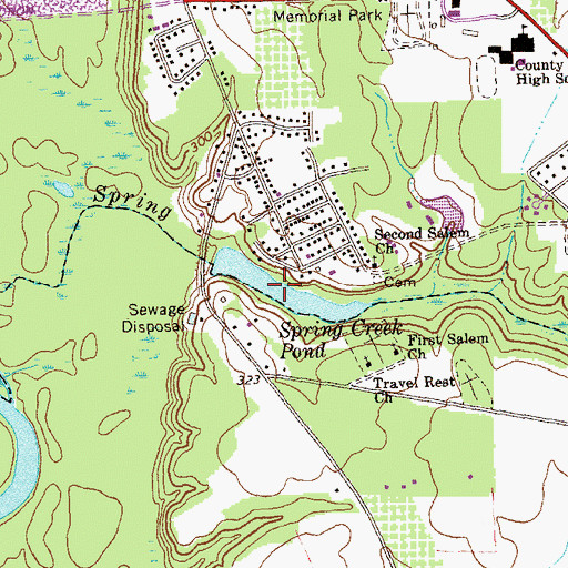 Topographic Map of Spring Creek Pond, GA