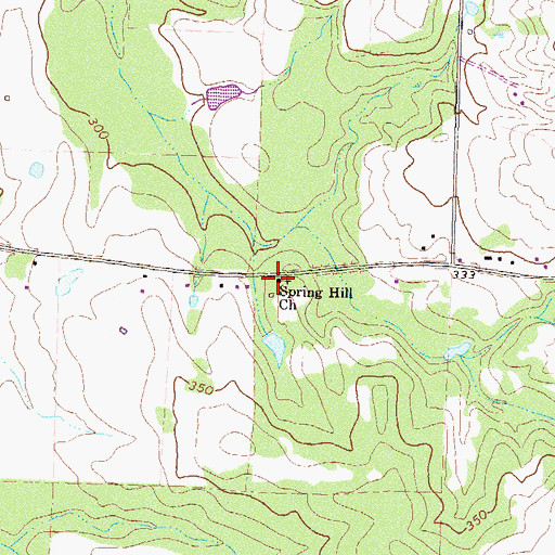 Topographic Map of Spring Hill Church, GA