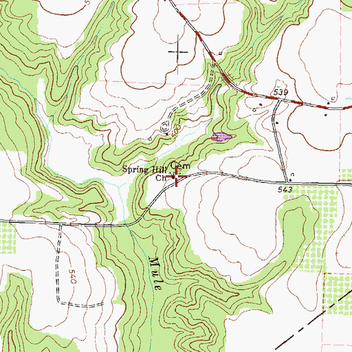 Topographic Map of Spring Hill Church, GA