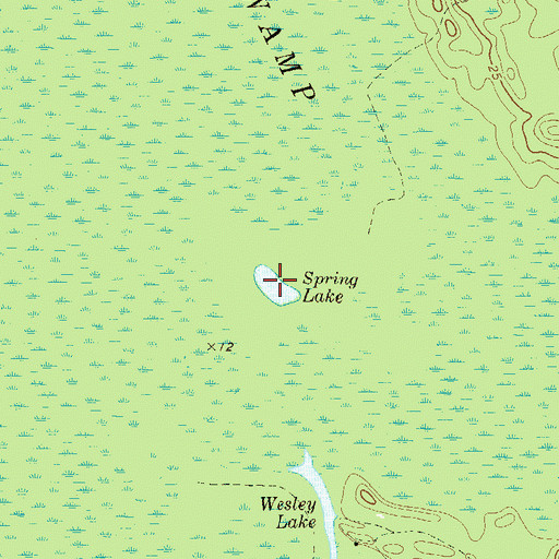 Topographic Map of Spring Lake, GA