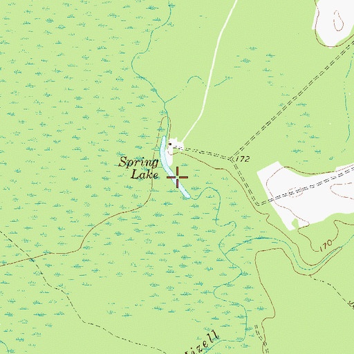 Topographic Map of Spring Lake, GA