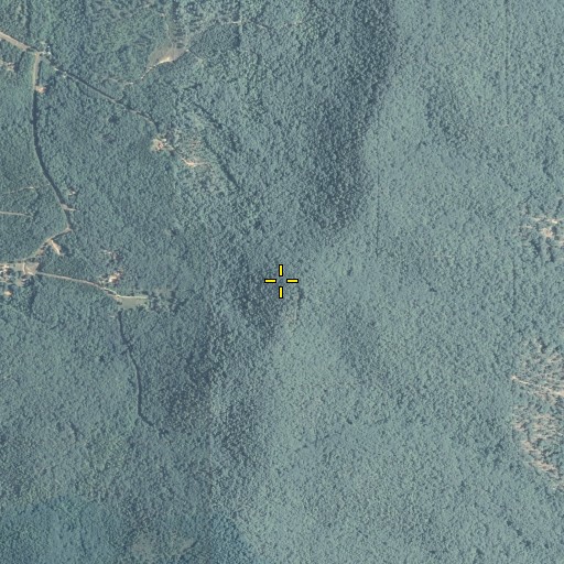 Aerial/Satellite Image of Spring Mountain, GA