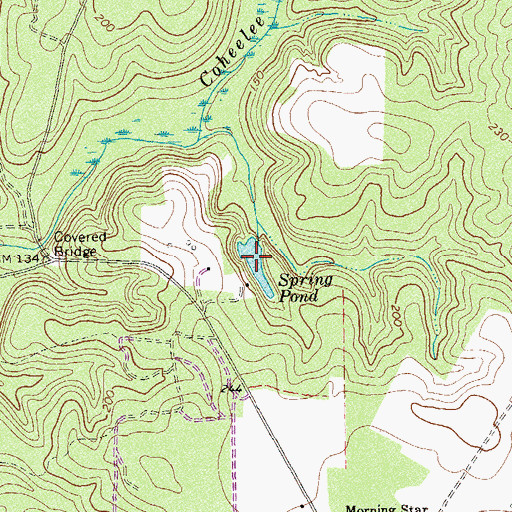 Topographic Map of Spring Pond, GA