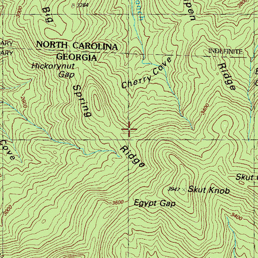 Topographic Map of Spring Ridge, GA