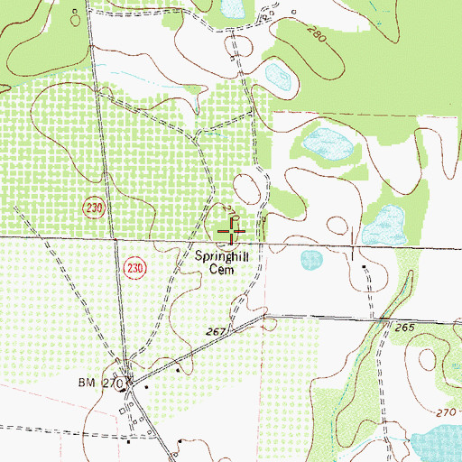 Topographic Map of Springhill Cemetery, GA