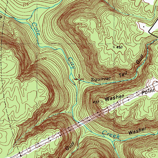 Topographic Map of Squirrel Tail Gulf, GA