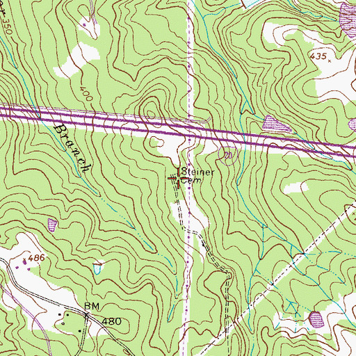 Topographic Map of Steiner Cemetery, GA