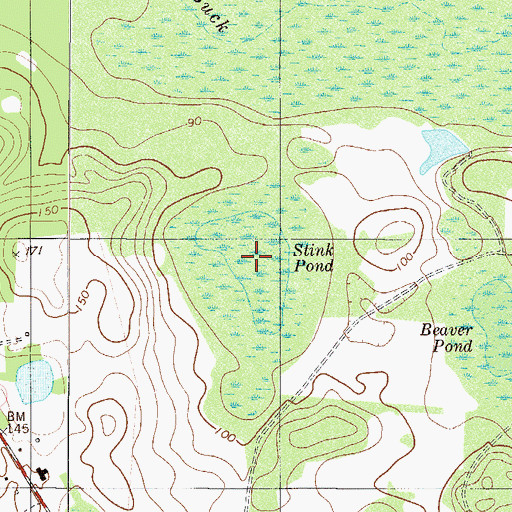 Topographic Map of Stink Pond, GA