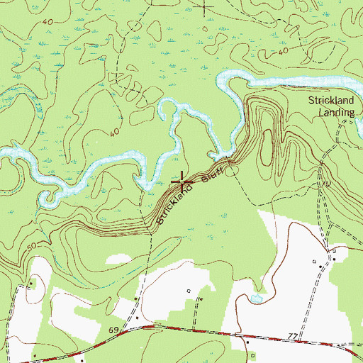 Topographic Map of Strickland Bluff, GA