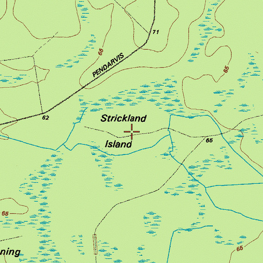 Topographic Map of Strickland Island, GA