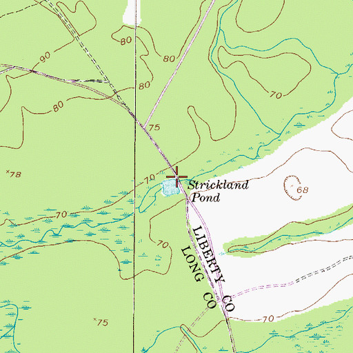 Topographic Map of Strickland Pond, GA