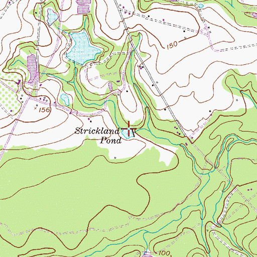 Topographic Map of Strickland Pond, GA