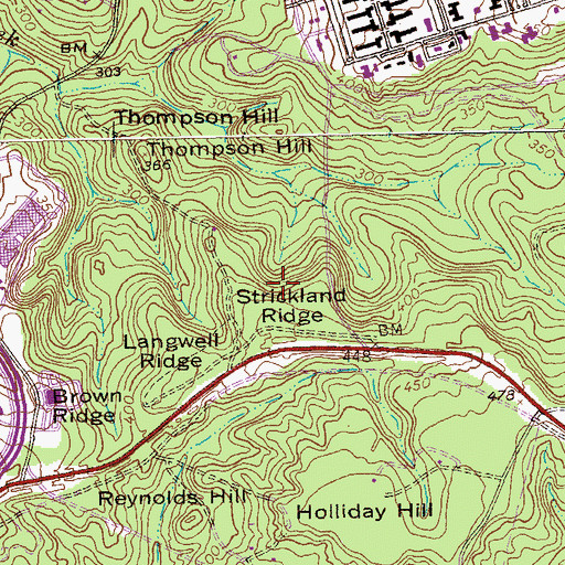Topographic Map of Strickland Ridge, GA