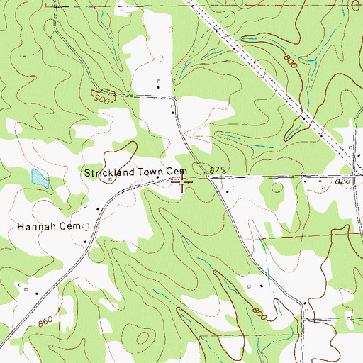 Topographic Map of Strickland Town Cemetery, GA