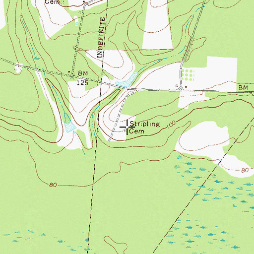 Topographic Map of Stripling Cemetery, GA