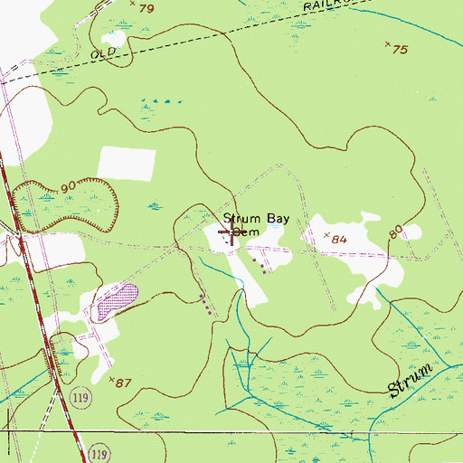 Topographic Map of Strum Bay Cemetery, GA