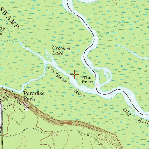 Topographic Map of Sturgeon Hole, GA