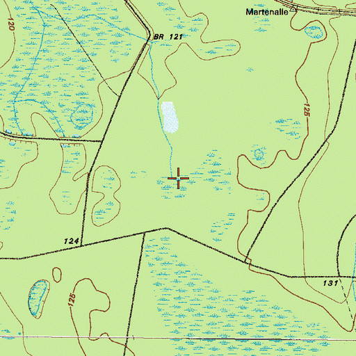 Topographic Map of River Styx, GA