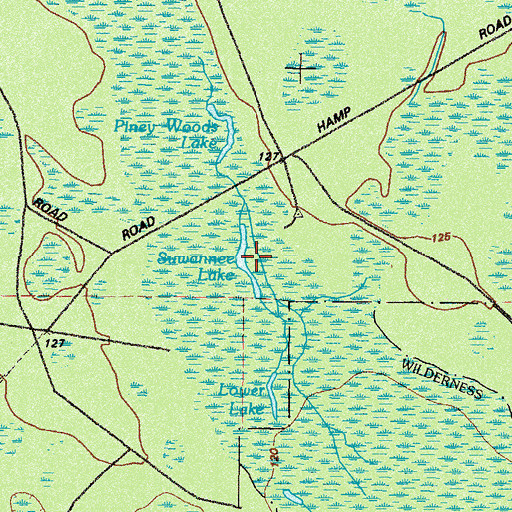 Topographic Map of Suwannee Lake, GA