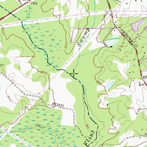 Topographic Map of Swamp Creek, GA