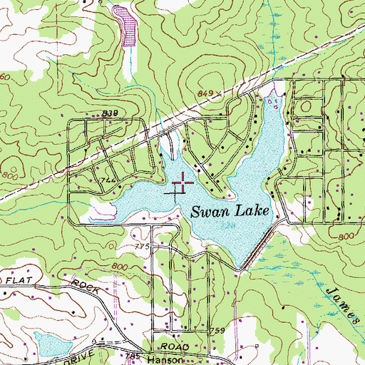Topographic Map of Swan Lake, GA