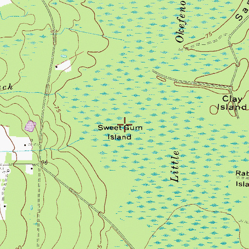 Topographic Map of Sweet Gum Island, GA