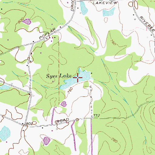 Topographic Map of Syes Lake, GA