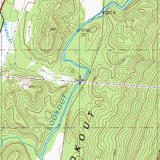 Topographic Map of Tadpole Branch, GA