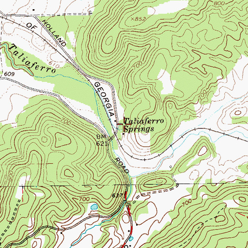 Topographic Map of Taliaferro Springs, GA