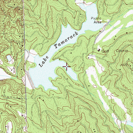 Topographic Map of Lake Tamarack, GA