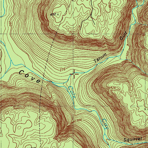 Topographic Map of Tatum Gulf, GA
