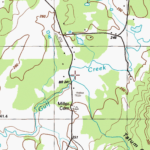 Topographic Map of Tatum Gulf, GA