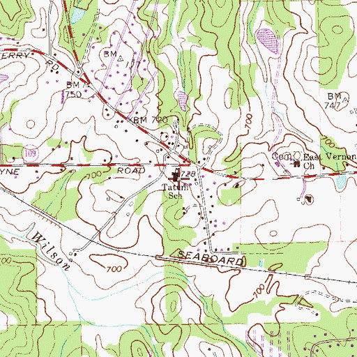 Topographic Map of Tatum School, GA