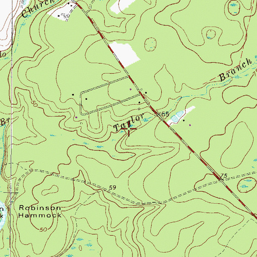 Topographic Map of Taylor Branch, GA