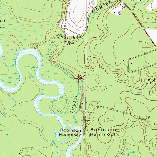 Topographic Map of Taylor Branch, GA