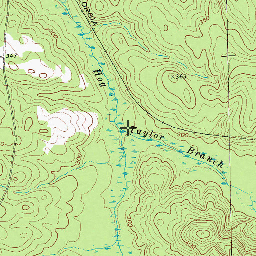 Topographic Map of Taylor Branch, GA