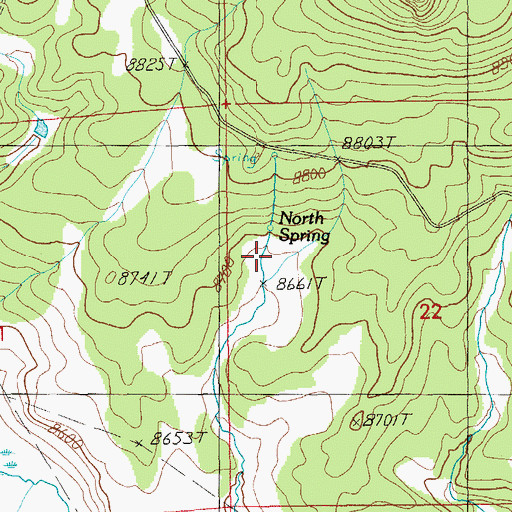 Topographic Map of North Spring, AZ