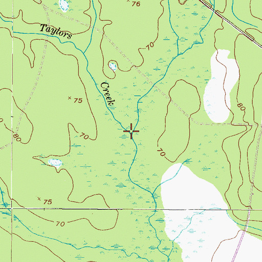 Topographic Map of Taylors Creek, GA