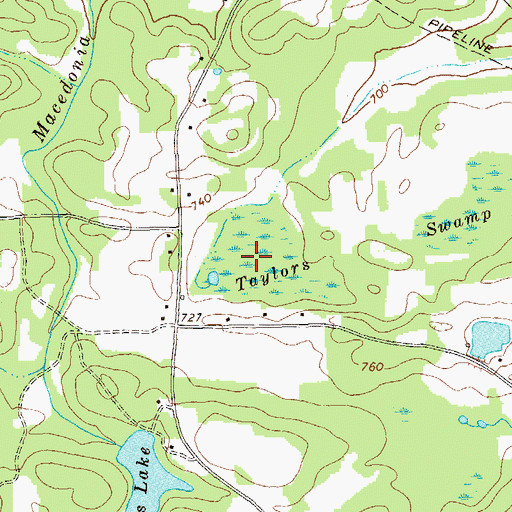 Topographic Map of Taylors Swamp, GA