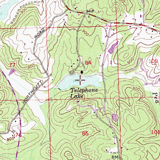 Topographic Map of Telephone Lake, GA