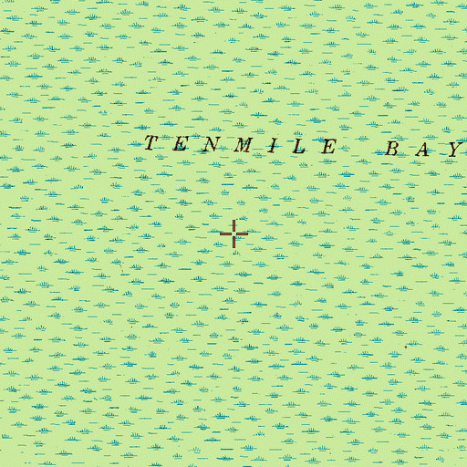 Topographic Map of Tenmile Bay, GA