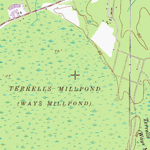 Topographic Map of Terrells Millpond, GA