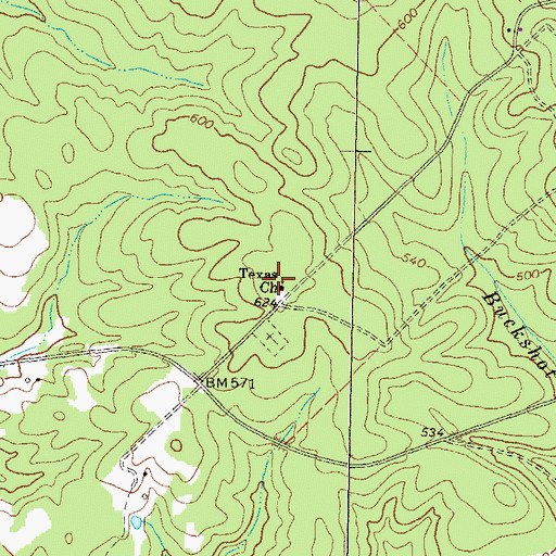 Topographic Map of Texas Church, GA
