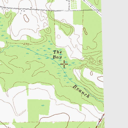 Topographic Map of The Bay, GA