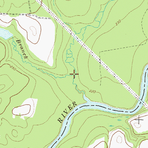 Topographic Map of The Bay Branch, GA